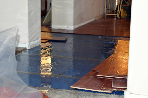 Professional Water Damage Restoration technician working in Dublin, TX